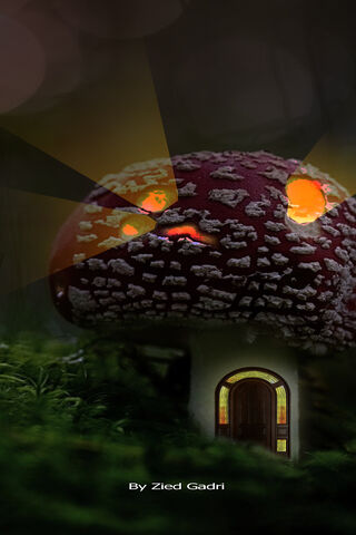 Enchanted Mushroom Abode 🍄✨