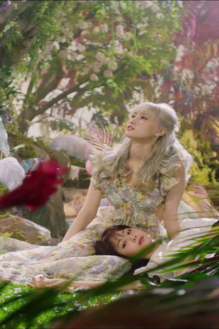 Whispers of Enchantment: Momo in MoreAndMore 🌸✨