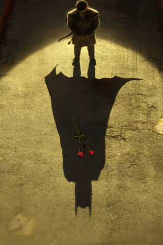 Shadows of a Hero: The Batman Legacy