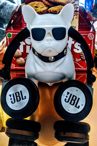 Pug Beats: The Ultimate Music Companion 🎶🐾