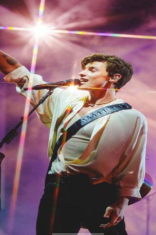 Shawn Mendes: A Star in the Spotlight 🌟