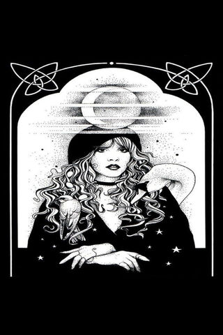 Mystical Muse: The Enchantment of Stevie Nicks 🌙✨