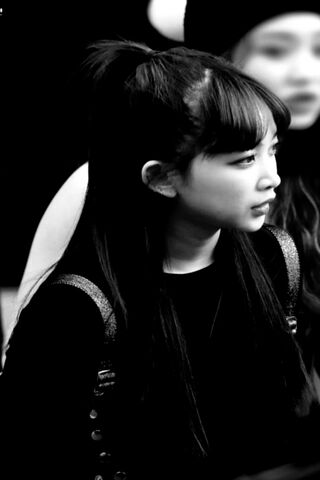 Mystery in Monochrome: The Secret Number