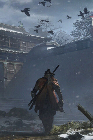 The Lone Wolf of Sengoku