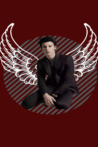 Angel in the Spotlight: A Tribute to Shawn Mendes