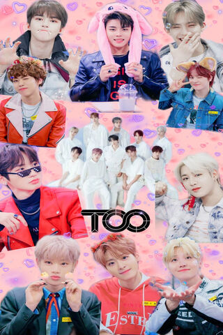 TOO: A Colorful Celebration of Talent and Charm! 🎉✨