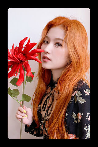 Sana's Floral Charm 🌸✨