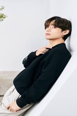 Taehyung V