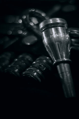 The Heart of the Brass: A Trumpet's Call 🎺✨