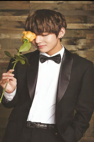 Elegance in Bloom 🌹