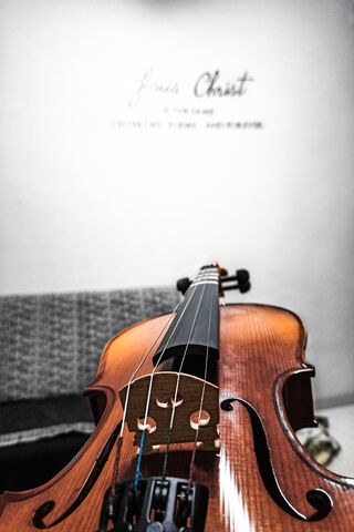 Strings of Serenity: The Violin's Voice 🎻✨