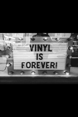 Timeless Tunes: The Vinyl Revolution 🎶