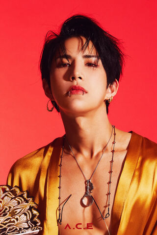 WOW Factor: A Captivating Presence