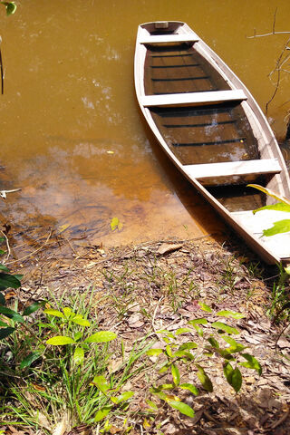 Serenity on the Water: A Quiet Boat Retreat 🚣 ️🌿