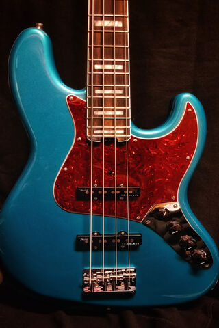 Groove with the Fender Jazz Bass 🎸✨