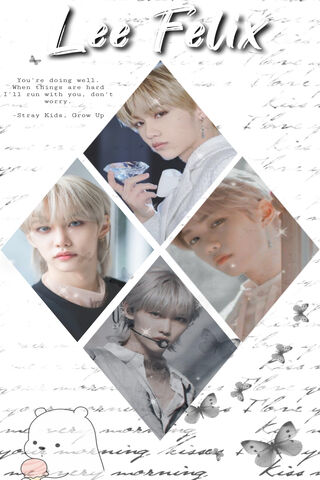 Felix: A Star Shining Bright 🌟