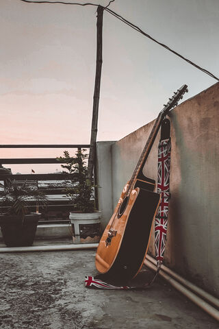 Guitar