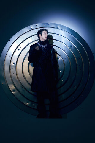 Jin Proof: A Star in the Spotlight 🌟