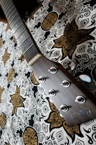 Strings Uncovered: The Naked Guitar