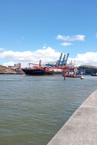 Harbor Harmony: A Day at the Port 🚢🌊