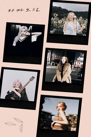 Rosie’s Radiant Moments 🌟