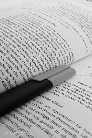 Unlocking Knowledge: The Study Companion 📚✍️