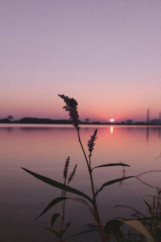 Serenity at Dusk: The Xion LIVED Experience 🌅