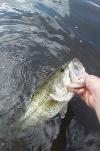 Catch of the Day! 🎣