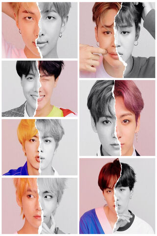 Duality in Harmony: The Half And Half Experience 🎨✨