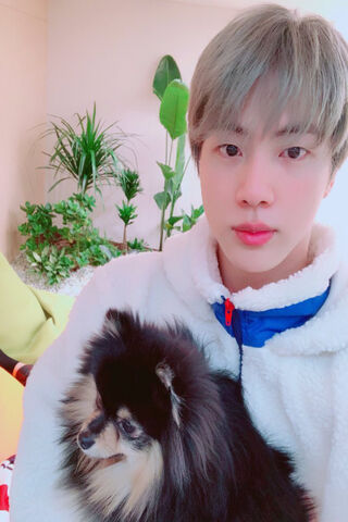 Jin and His Furry Frien..