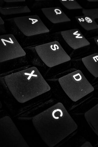 The Heart of Every Gamer: A Close-Up on the Keyboard 🎮⌨️