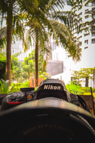 Capturing Moments: The Nikon Experience 📸🌿