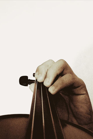 The Art of Violin Mastery 🎻✨