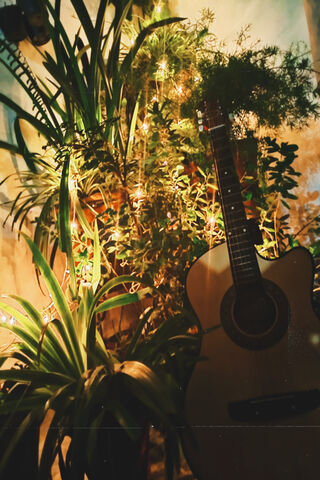 Serene Strings: A Lofi Escape 🎶🌿