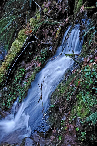 Jimin's Serene Stream 🌊✨