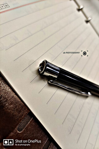 The Writer's Companion: A Pen's Journey