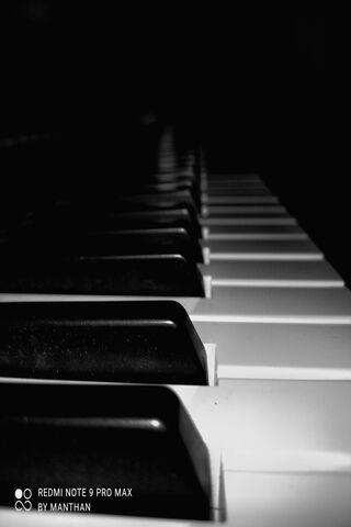Melody in Shadows 🎹✨
