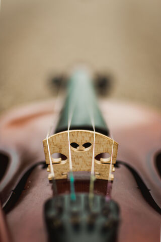 Strings of Emotion: The Heart of the Violin 🎻❤️