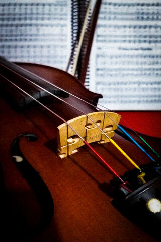 Strings of Harmony: The Heart of the Violino 🎻✨