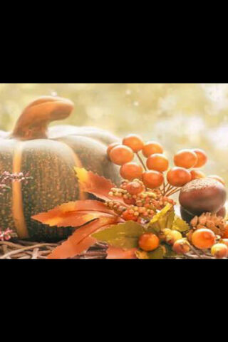 Cozy Fall Vibes: Autumn Pumpkin Delight 🍂🎃