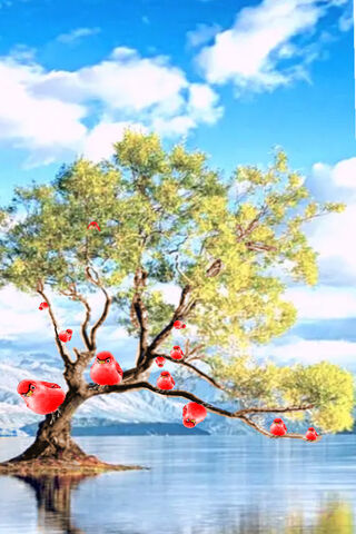 Anger Bird Tree