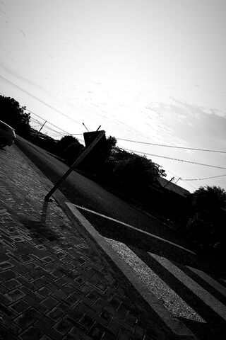 The Quiet Pathway