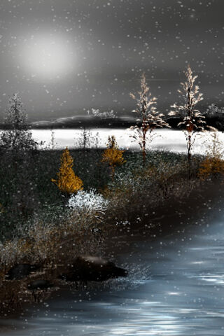 Whispers of Autumn: A Serene Transition