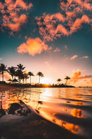Sunset Serenity: A Tropical Escape 🌅🌴