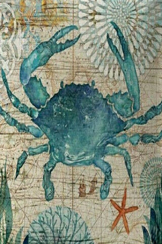 Billy Blue Crab: A Coastal Treasure 🦀🌊