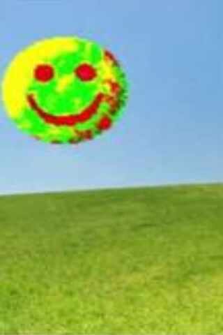 Joyful Horizon: A Sunset Smile 🌅😊