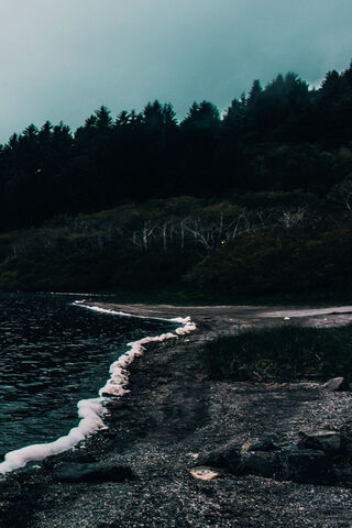 Mystical Shoreline: Where Sea Meets Sky 🌊🌫️