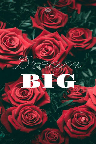 Blooming Aspirations 🌹✨