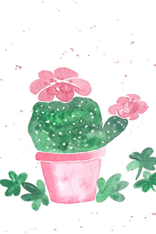 Cactus