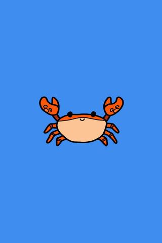 Crabby Cutie 🦀